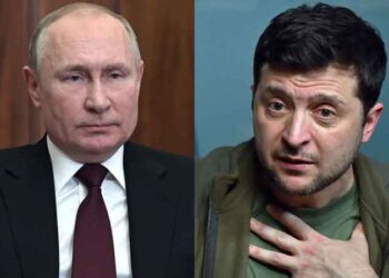 সহসাই পুতিন-জেলেনস্কি বৈঠকের পরিকল্পনা নেই : ক্রেমলিন