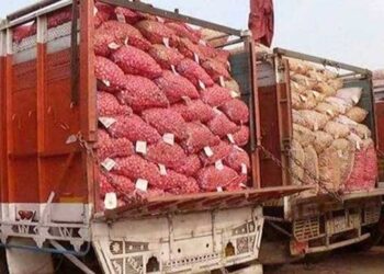 আপাতত বন্ধ হচ্ছে না পেঁয়াজ আমদানি