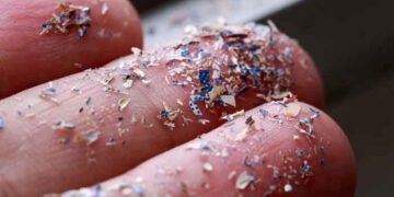 শুধু পরিবেশেই নয়, রক্তেও বিষ ঢালছে মাইক্রোপ্লাস্টিক!