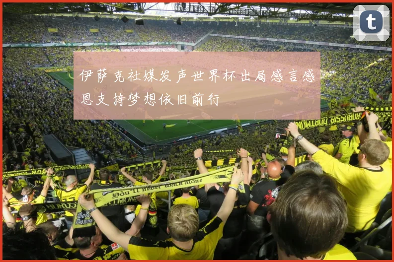伊萨克社媒发声世界杯出局感言感恩支持梦想依旧前行