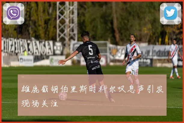 雄鹿截胡伯里斯时科尔叹息声引发现场关注